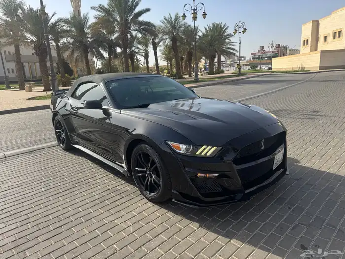 موستنج 2017 كشف 1