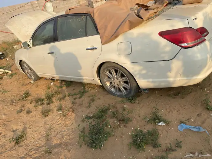 أفالون 2010 4