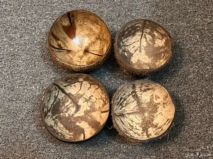 زبديات من جوز الهند 1