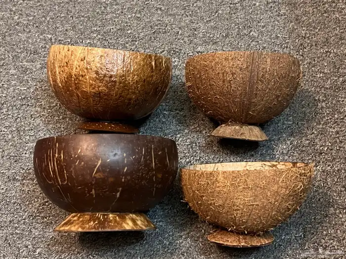 زبديات من جوز الهند 0