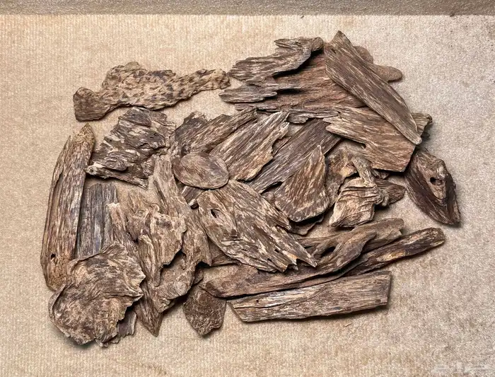 عود كلمنتان مالينو دبل سوبر ثقيل نقوة 0