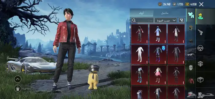 حساب ببجي للبيع 2