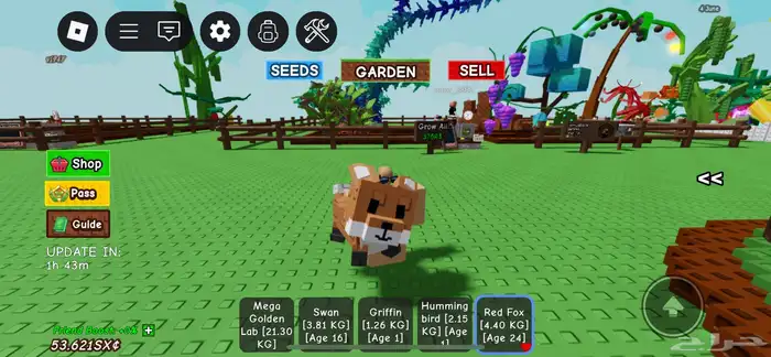 ديسكو بي اقوى تطويره ب 50 ريال 4