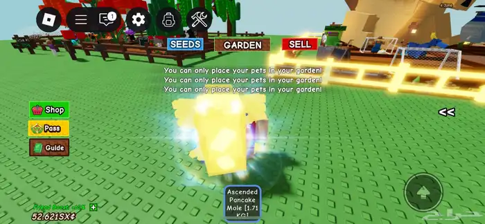 ديسكو بي اقوى تطويره ب 50 ريال 0