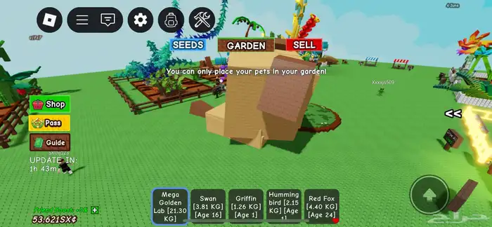 ديسكو بي اقوى تطويره ب 50 ريال 1