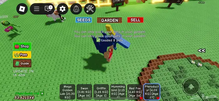 ديسكو بي اقوى تطويره ب 50 ريال 3