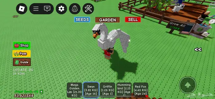 ديسكو بي اقوى تطويره ب 50 ريال 2