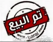 تم البيع.. صيصان باكستاني ورومي للبيع 0