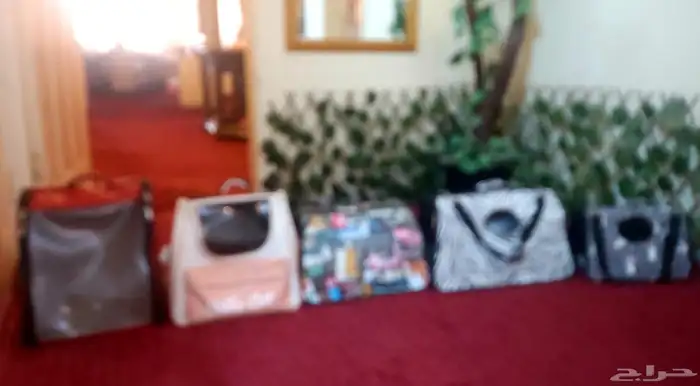 أغراض قطط مثل الجديد بسعر مغري 3