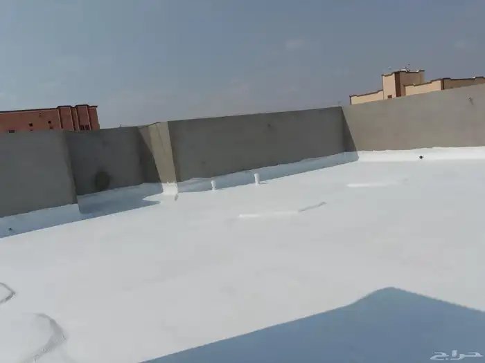 مؤسسه السعديه لجميع انواع الاوازل باسعار منافسه 1