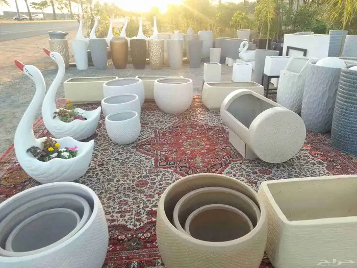 مؤسسة زهرة الخليج الزراعية وادي نجران -دحضة 3