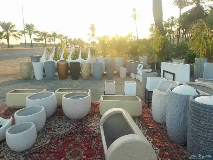 مؤسسة زهرة الخليج الزراعية وادي نجران -دحضة 4