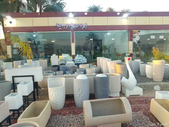 مؤسسة زهرة الخليج الزراعية وادي نجران -دحضة 0