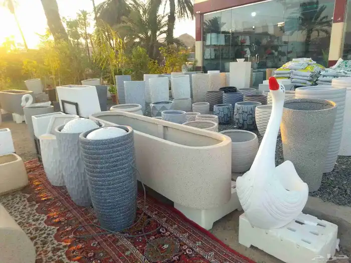 مؤسسة زهرة الخليج الزراعية وادي نجران -دحضة 2