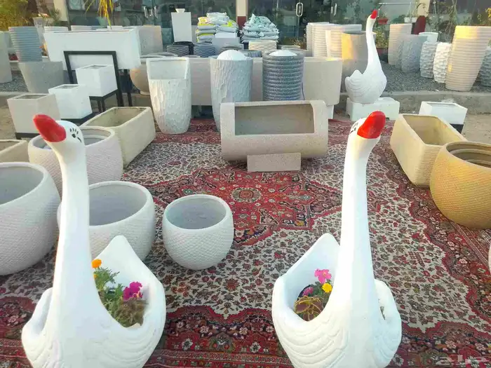 مؤسسة زهرة الخليج الزراعية وادي نجران -دحضة 1