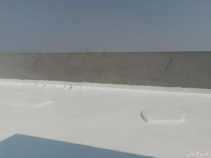 مؤسسه السعديه لجميع انواع الاوازل باسعار منافسه 0