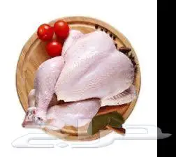 بيع دجاج مبرد بالجملة 1