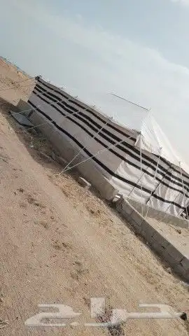 تجهيز مخيمات 9