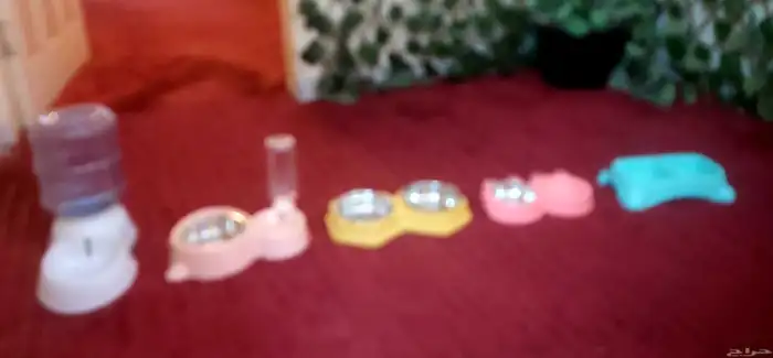 أغراض قطط مثل الجديد بسعر مغري 6