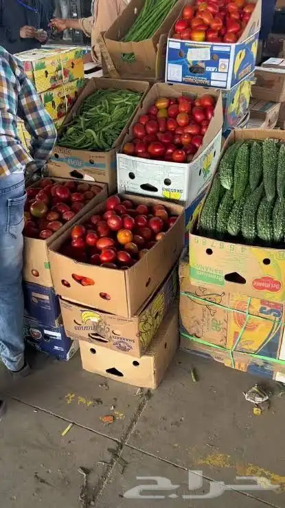 مورد خضار وفواكه 4