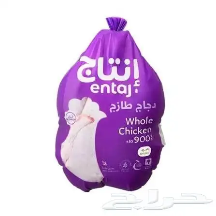 دجاج مبرد طازج يوميا 4