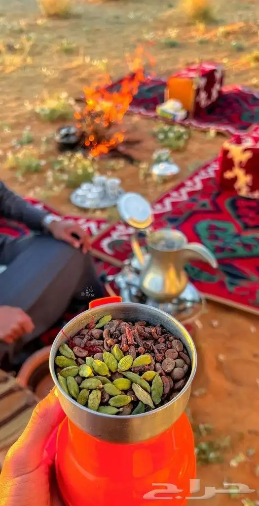 قهوجي 3
