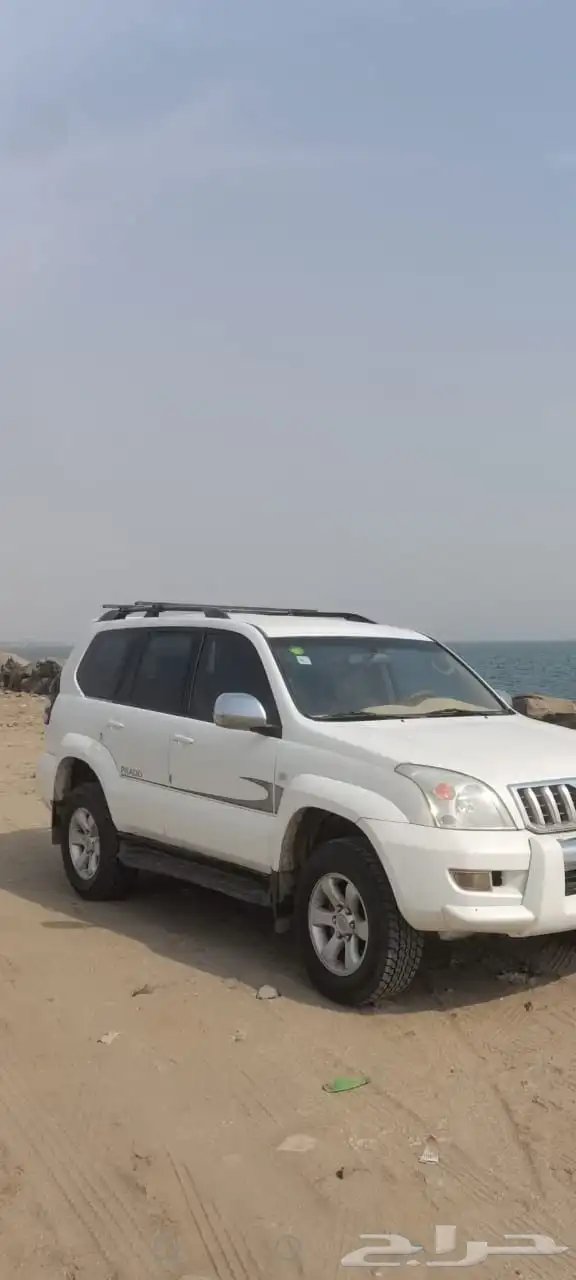 برادو 17