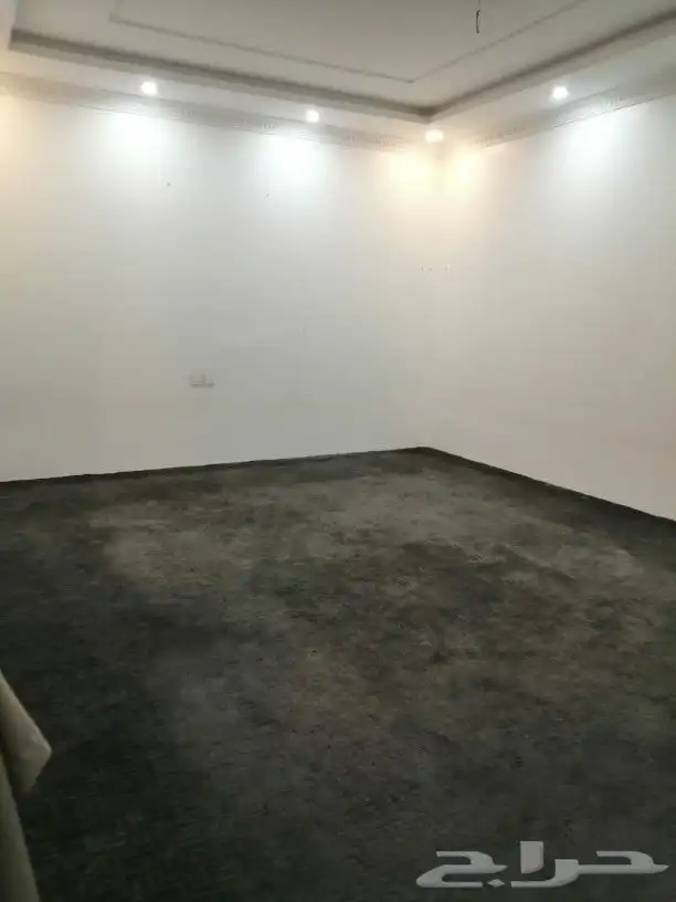 استراحات عزاب للايجار 2