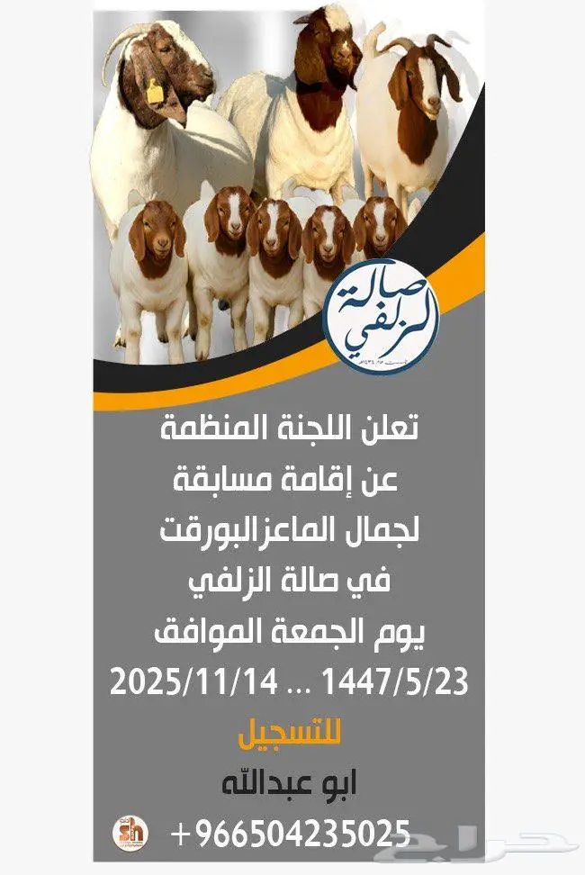 ماعز البورقت 2