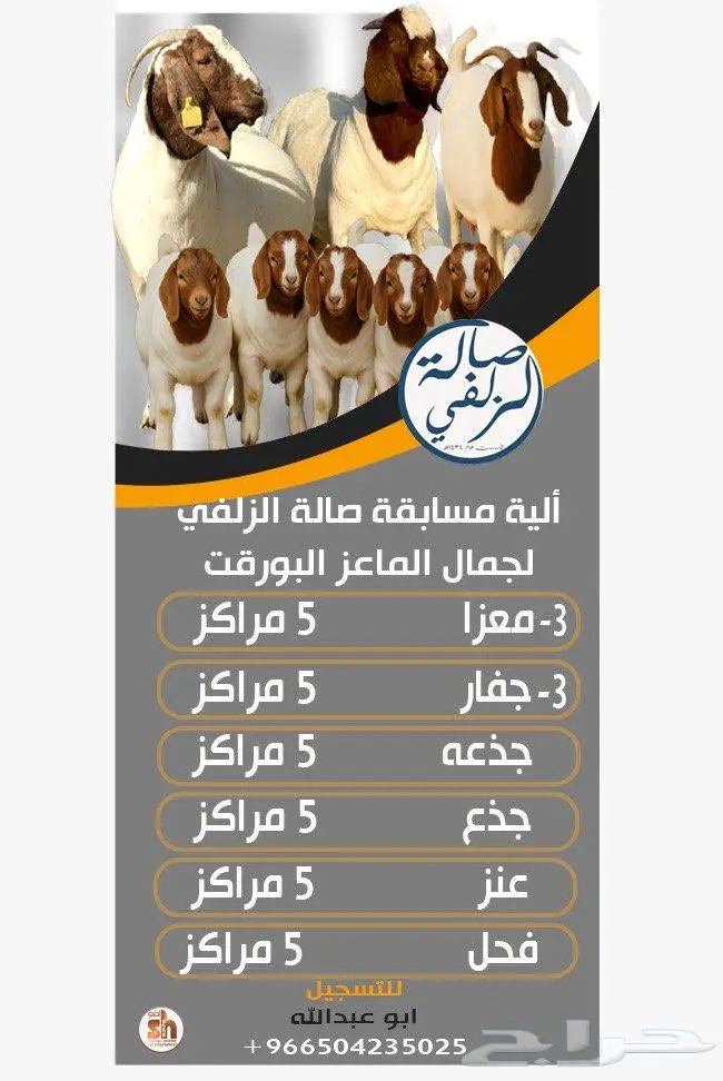 ماعز البورقت 3