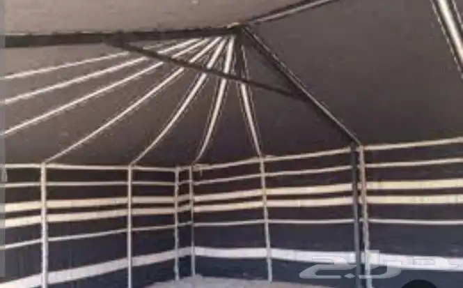مخيمات 2025 2
