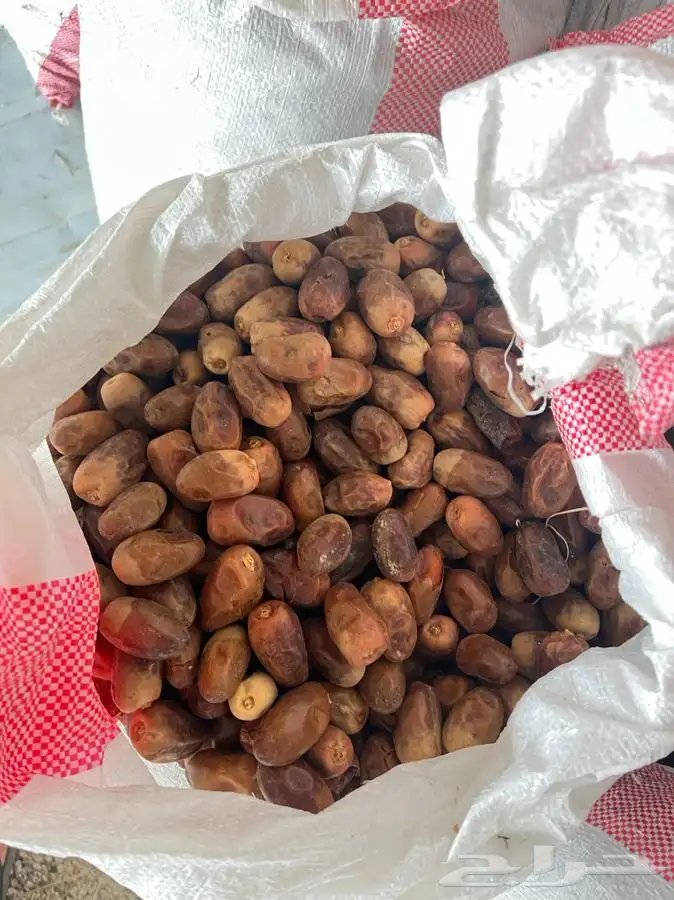 تمر حلال نضييف 2