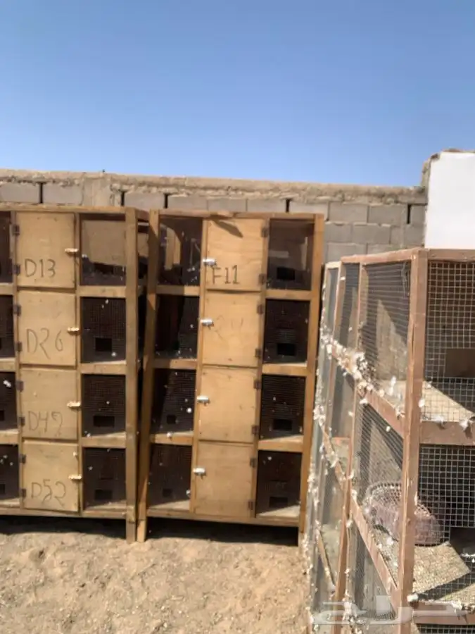 محاكر حمام 1