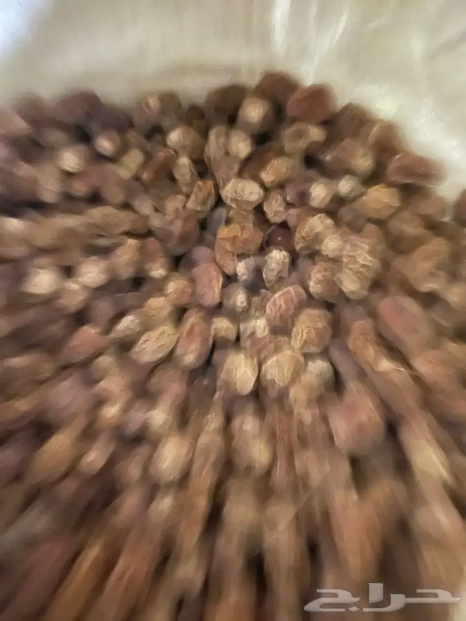تمر علف مواشي 1