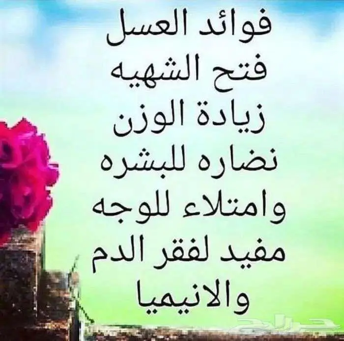 عسل تسميين اصلي 48