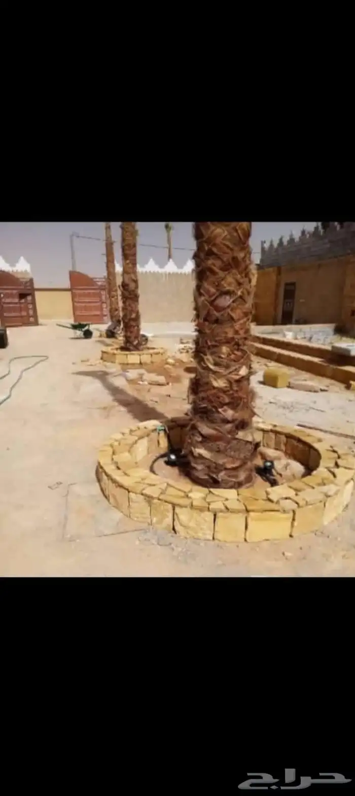 مقاول شبوك مزارع نخيل حجر وتراث 9