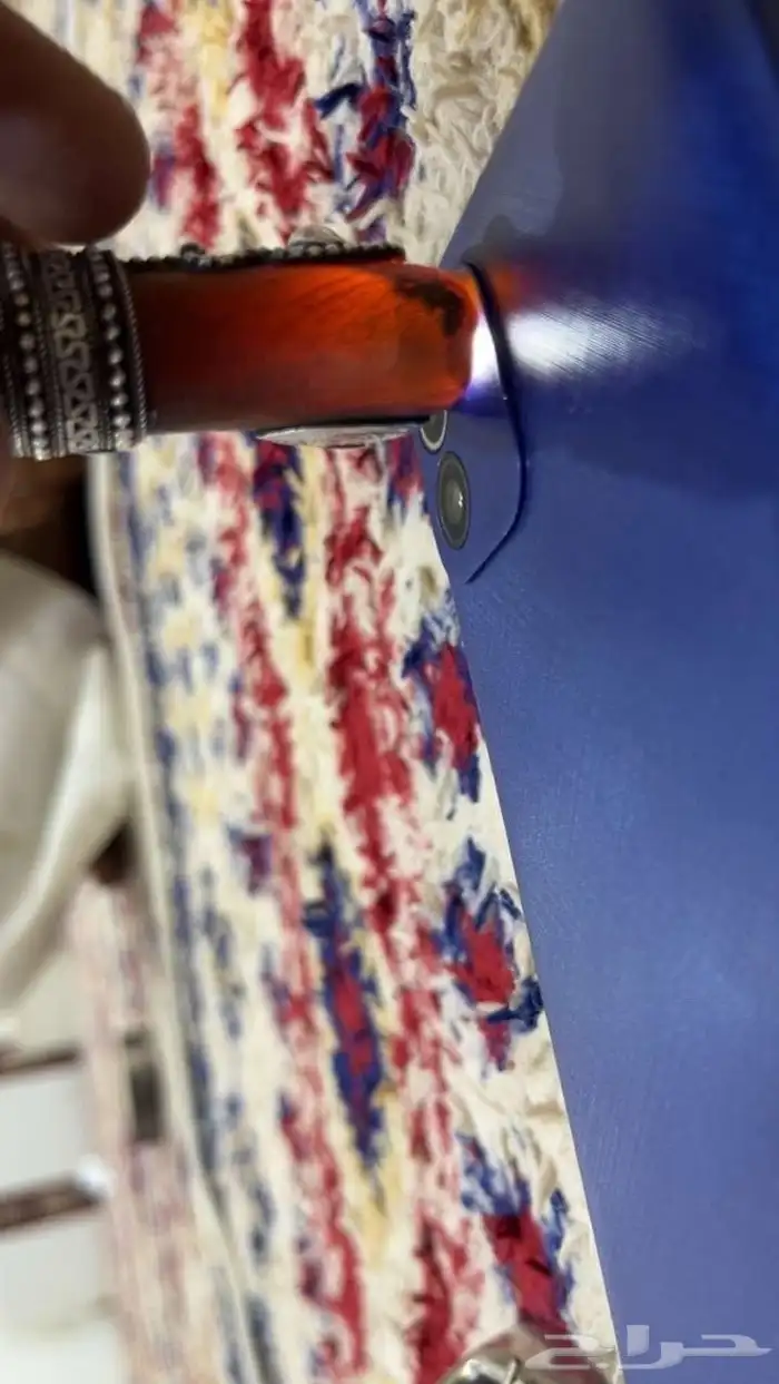 جنبينه زراف مسمار للبيع الرجاء التواصل عبر الواتس. 2