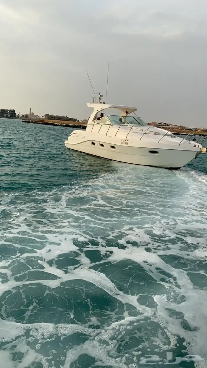 تأجير يخوت رحلات جزيرة بياضه ابو طير حفلات بحريه 0