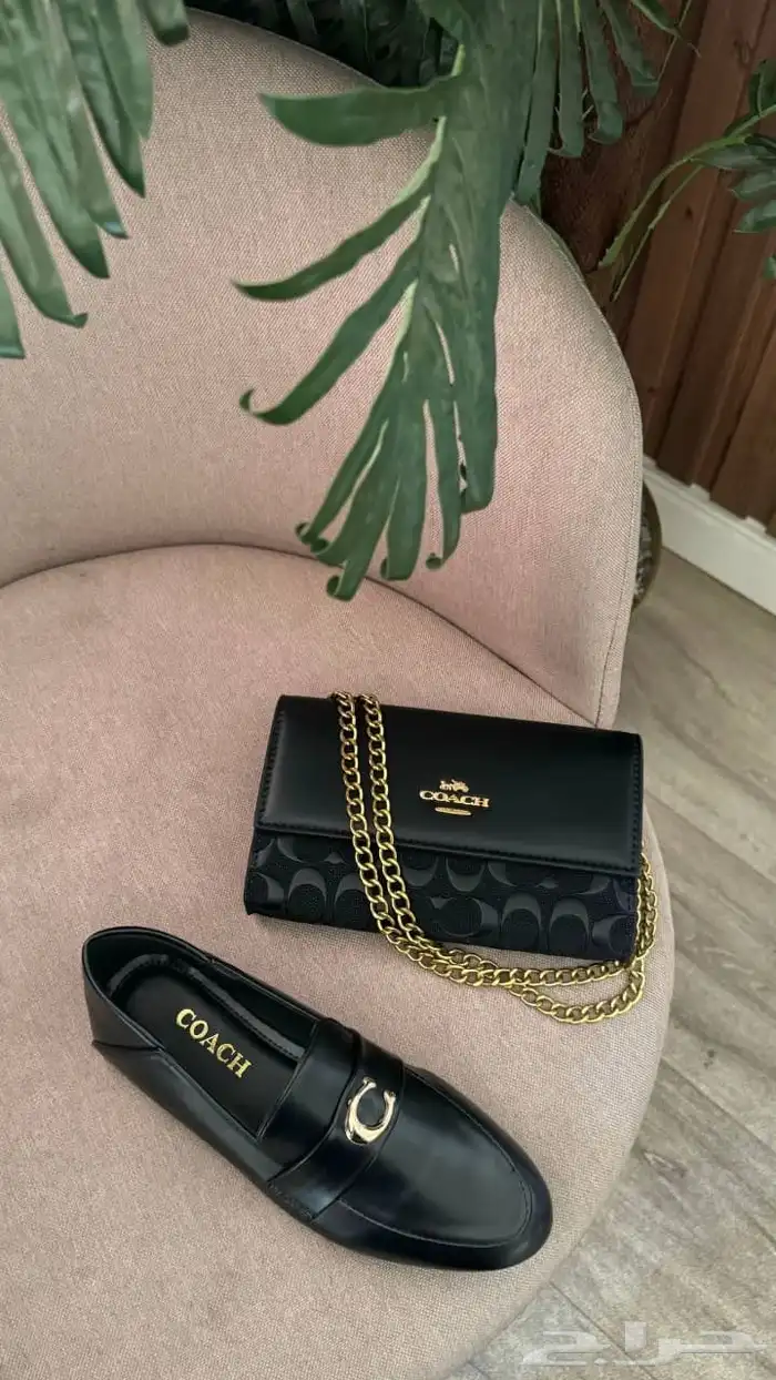 طقم شنطه وسلببر 20