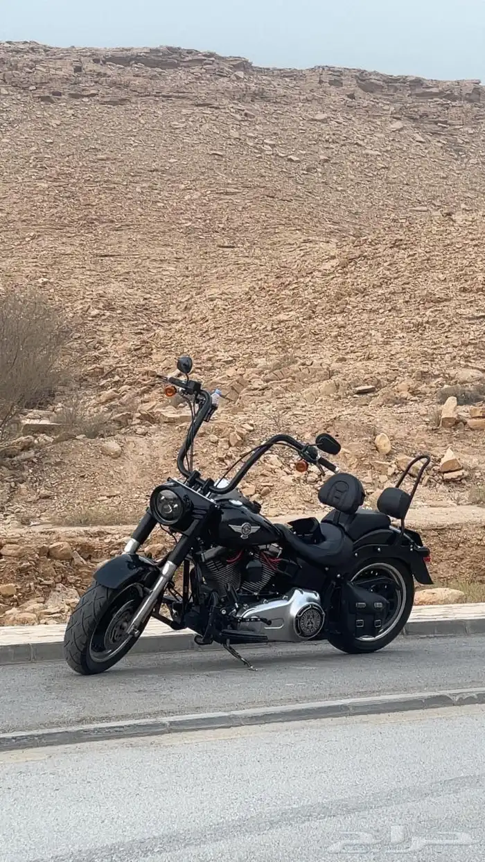 هارلي فات بوي 2010 0