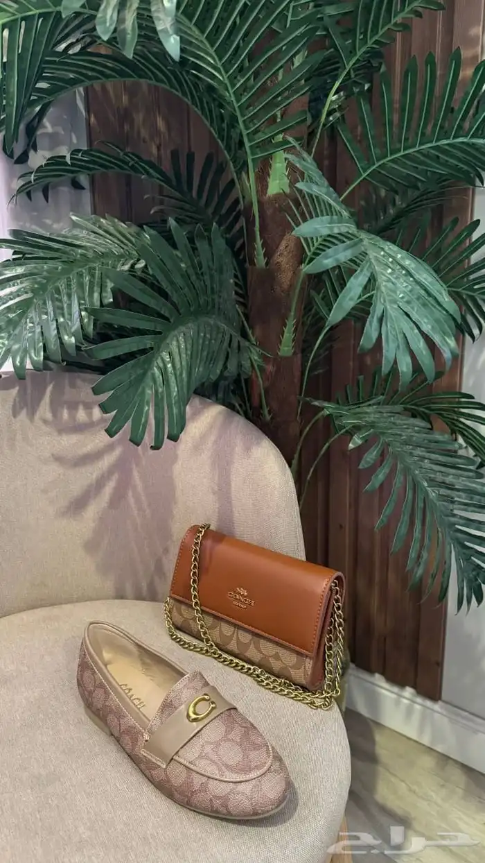 طقم شنطه وسلببر 16