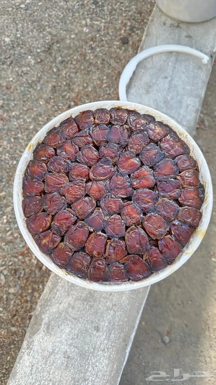 تمر برني - كعيمر العيص من مزارع الفرع 0