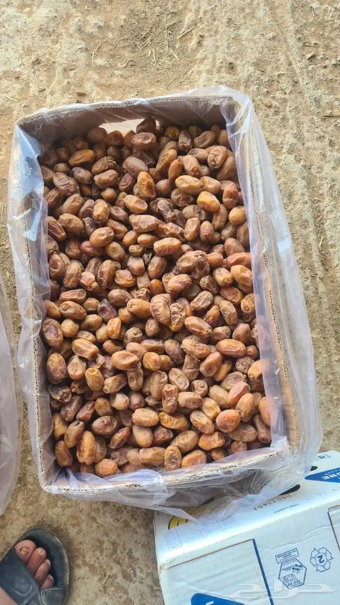 للبيع تمر خلاص من المزرعة مباشره 0