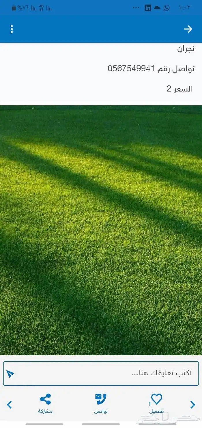 زراعه جميع انواع الاشجار النخل والنجيل وكل ما يتعلق بالزراعه 8