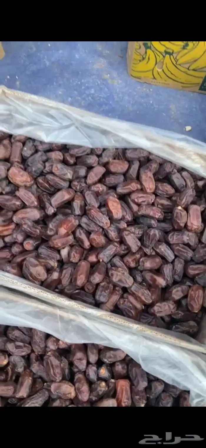 تمر خضري 0