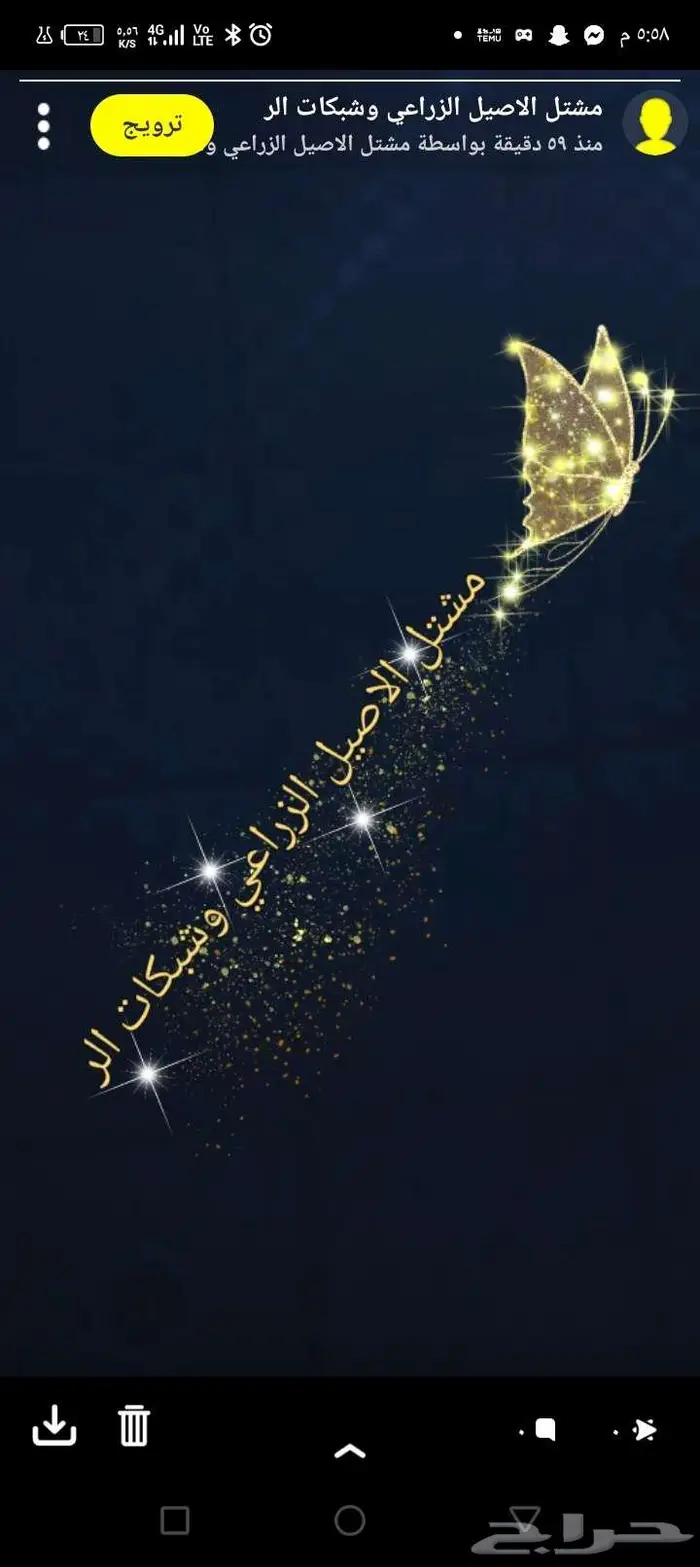 مشتل الاصيل الشمالي 0