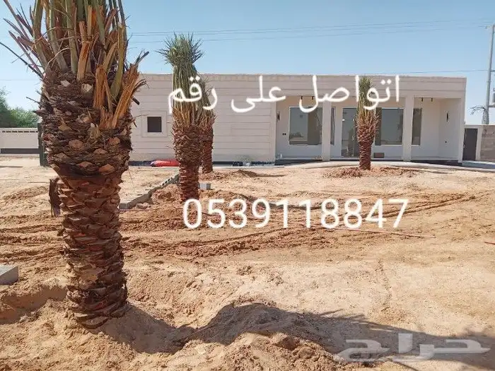 يوجد لدينا جميع انواع انخيل وقلع وغرس وتوصيل لجميع انحاء الم 2