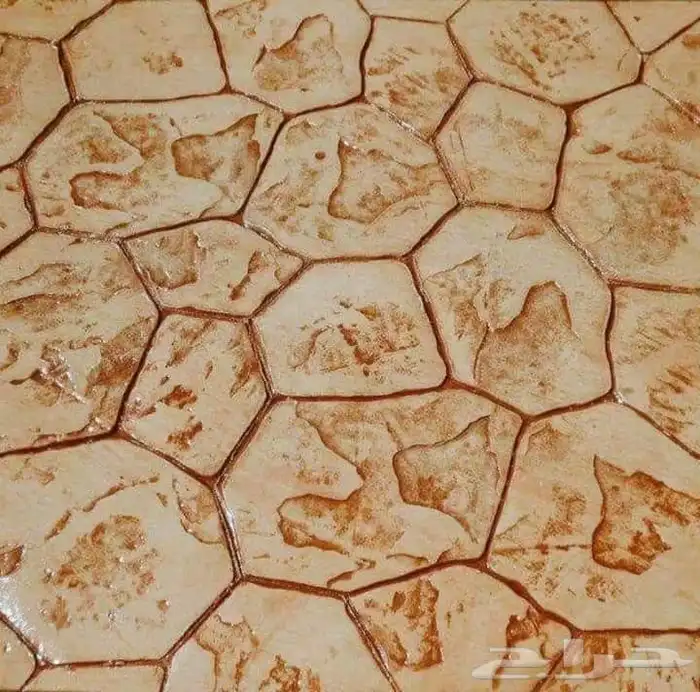 صب  مروح  صب  مطبوعات مصتودعات صب  س ريت 8