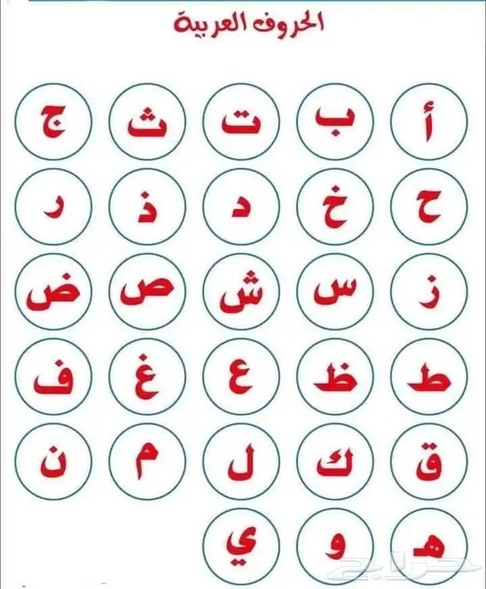 معلمة تأسيس و قرآن كريم 0