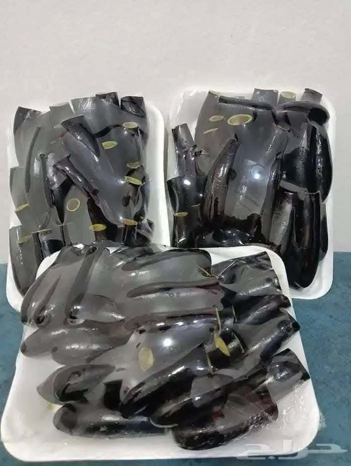 محاشى على الحشو ومحاشى ع التسويه 4